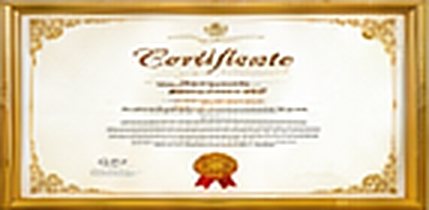 Certificate (sample placeholder)